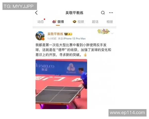 樊振东反手发球引爆全运会吴敬平揭秘德甲训练背后的故事与挑战